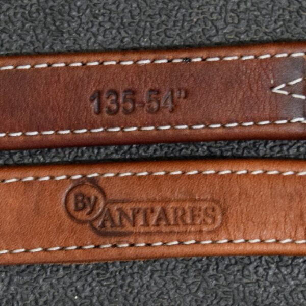 135cm/54″ Signature by Antares Stirrup Leathers