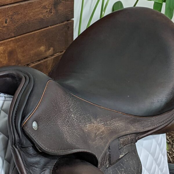 17.5″ Custom Saddlery Icon Coda (2017) *Short Flaps* - Image 2