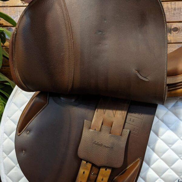 17″ Antares Classique 2 (2012) *Straight Flaps*Bridle, Leathers and Stirrups Included* - Image 4