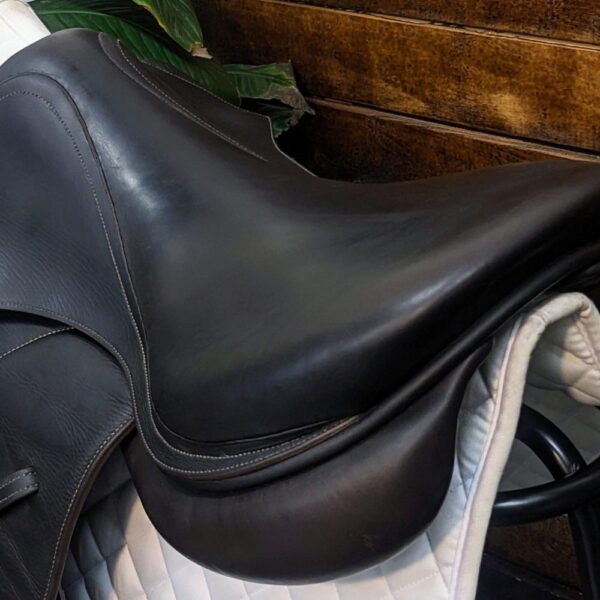 18.5″ Voltaire Palm Beach 1AAR (2014) *Short/Extra Forward Flaps*Full Buffalo Leather* - Image 4