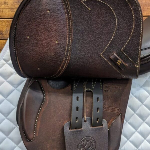 *NEW*15.5″ Antares Signature Junior Jumping Saddle XS (2024) *AO1 Wide Tree*Full Calf Leather* - Image 4