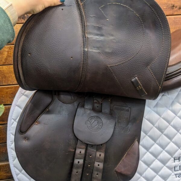 17″ Antares Signature Jumping Saddle 2A (2019) *AO1 Wide Tree*Full Calf Leather* - Image 4