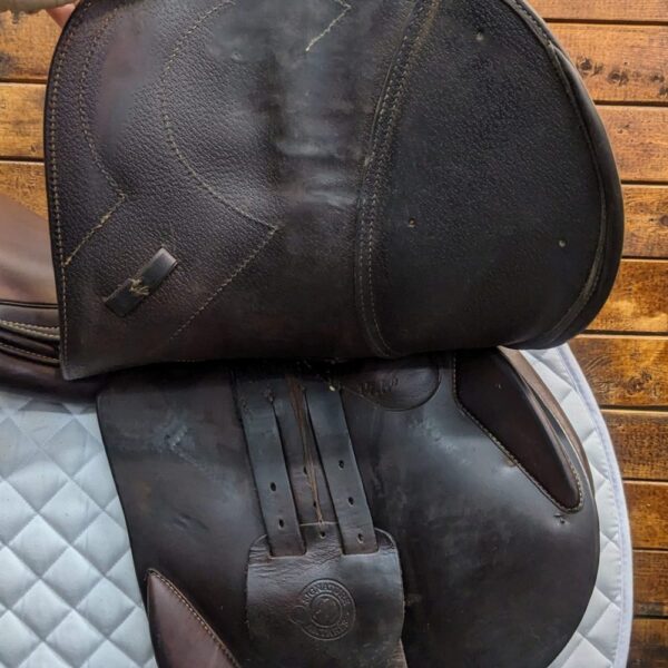 17″ Antares Signature Jumping Saddle 2A (2019) *AO1 Wide Tree*Full Calf Leather* - Image 5