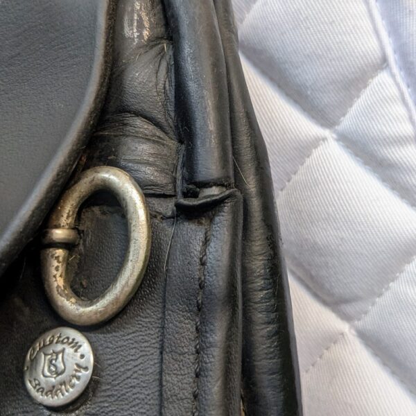 17″ Custom Saddlery Wolfgang Solo (2015) *Wool Flocked* - Image 3