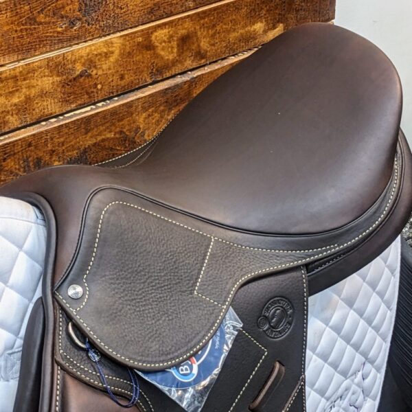 17.5″ Antares Signature Jumping Saddle 2A (2024) *AO1 Wide Tree*Full Calf Leather* - Image 2