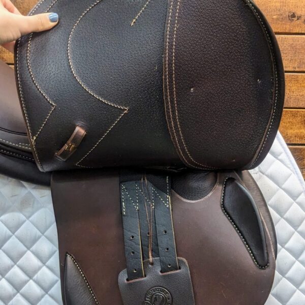 17.5″ Antares Signature Jumping Saddle 2A (2024) *AO1 Wide Tree*Full Calf Leather* - Image 5